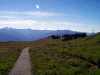 MeadowMountaintrail.JPG (114576 bytes)