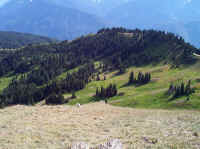 MeadowValley.JPG (164651 bytes)