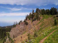 Meadowridgetrail.JPG (162163 bytes)