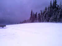 blowing snowfield.jpg (110426 bytes)
